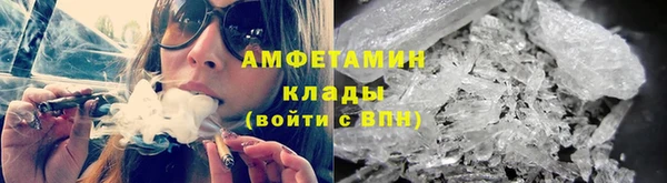 крисы Богородицк