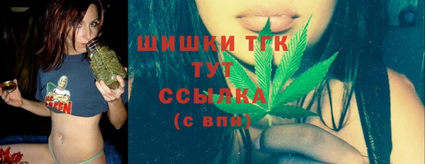 крисы Богородицк