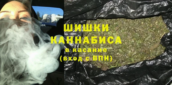 крисы Богородицк