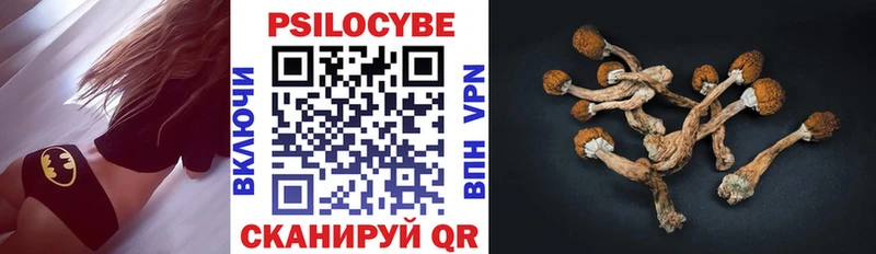Галлюциногенные грибы Cubensis  Верхний Уфалей 